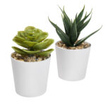 KTC 750 B - SET DE PLANTAS ALISO BLANCO (BLANCO - PLASTICO - CARTON) - Imagen 2