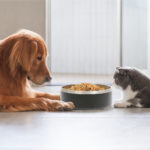 TAZÓN GEMINI AZUL MARINO PT-001A ( PT-001 - PT001 -  ) - Imagen 4