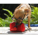 PORTA BOLSAS ROCHOR ROJO PT-008R ( PT-008 - PT008 -  ) - Imagen 3