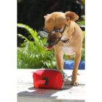 PORTA BOLSAS ROCHOR ROJO PT-008R ( PT-008 - PT008 -  ) - Imagen 2