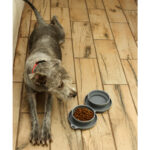 PLATO SCOGLITTI GRIS PT-010G ( PT-010 - PT010 -  ) - Imagen 7