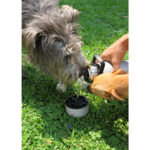 BOTELLA MALTA GRIS CLARO PT-011G ( PT-011 - PT011 -  ) - Imagen 5